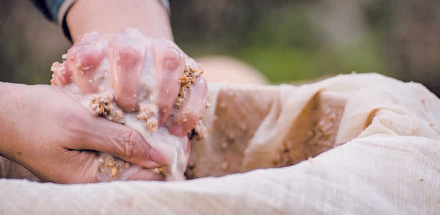 Traditional hangari vessels, where our makgeolli comes to life through natural fermentation