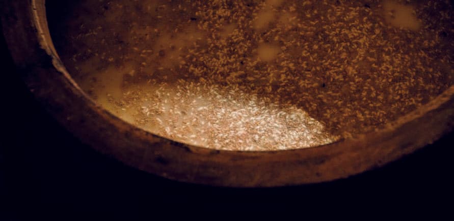 Natural fermentation process in traditional hangari