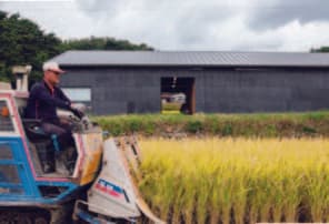 Our master brewers monitoring the fermentation process